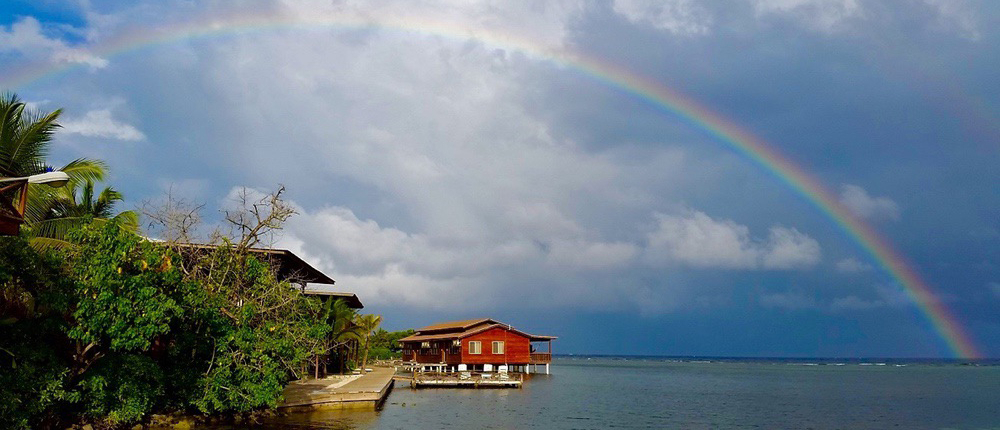 dema_special_9_rainbow